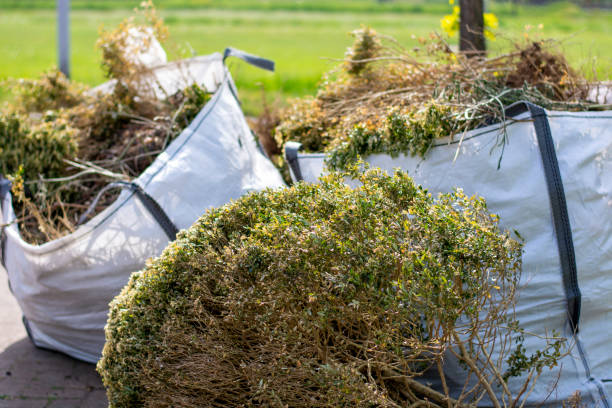 Best Appliance Removal Near Me  in Paradise Hills, NM